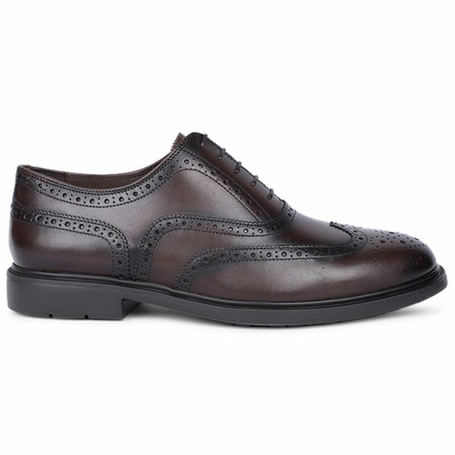 Formal Shoes * | Hush Puppies Dark Brown Formal Shoes For Men