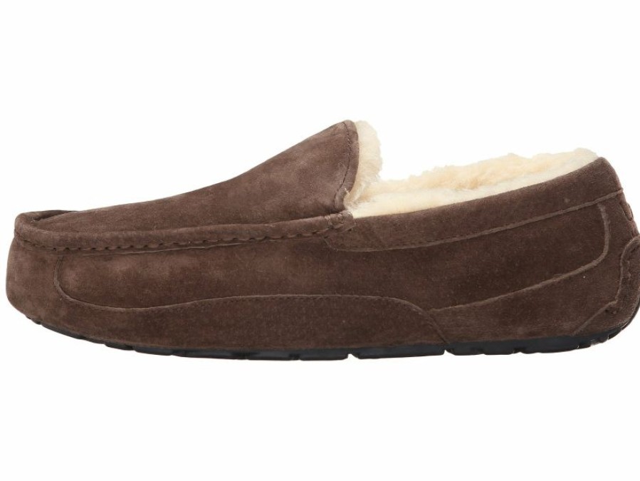 Slippers * | Ugg Ascot